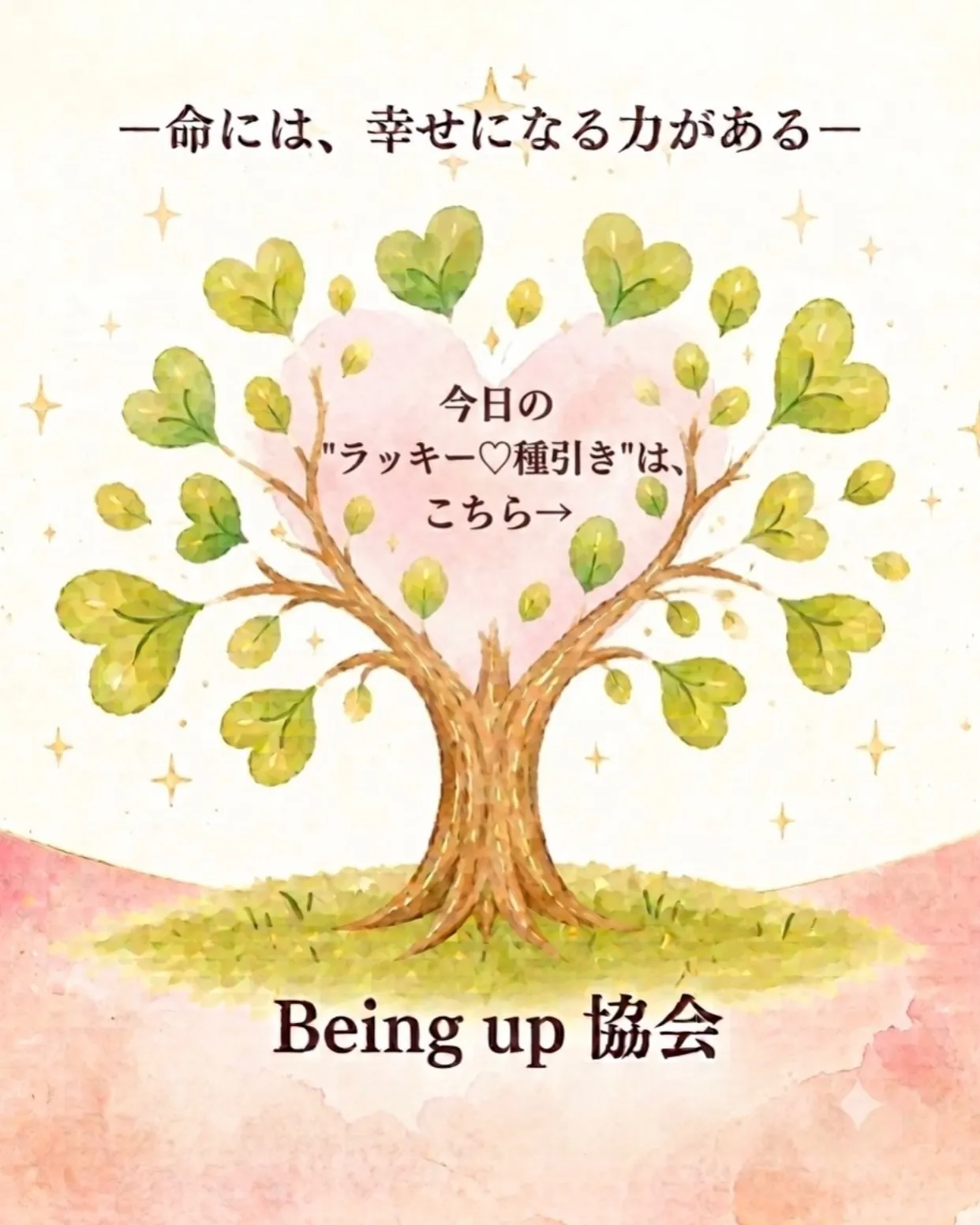 今日の種は、こちら。