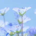 料金表